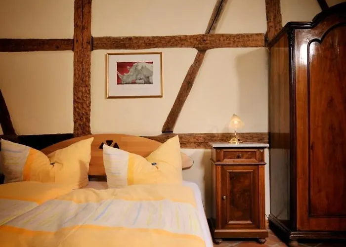 Matsch - Plauens Aelteste Gastwirtschaft 3* بلوين