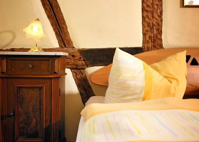 فندق Matsch - Plauens Aelteste Gastwirtschaft